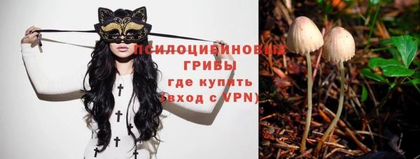 героин Богданович