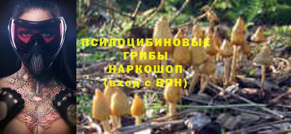 метадон Богородицк