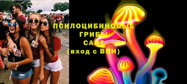 метадон Богородицк