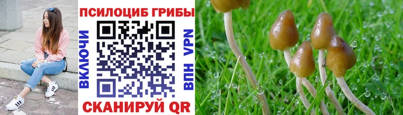 Купить закладки  Красноуфимск  Галлюциногенные грибы GOLDEN TEACHER 